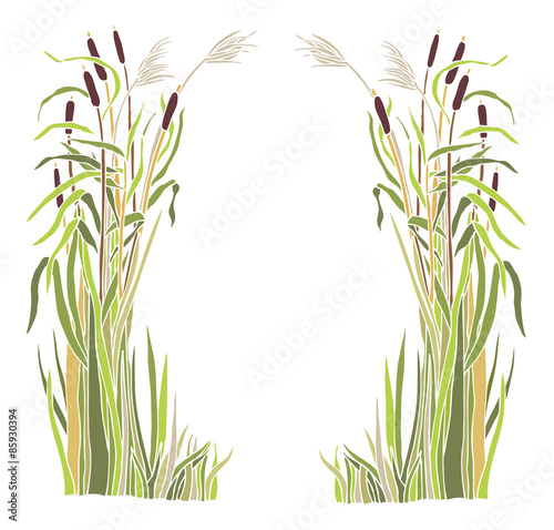 Frame of the reeds