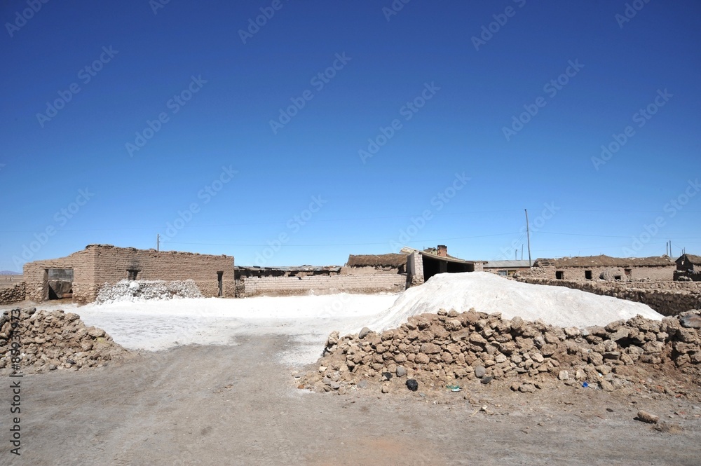 The salt cellars on lake Uyuni The salt cellars on lake Uyuni