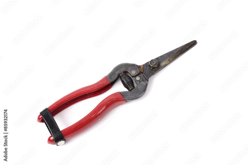scissor for gardening scissor for gardening