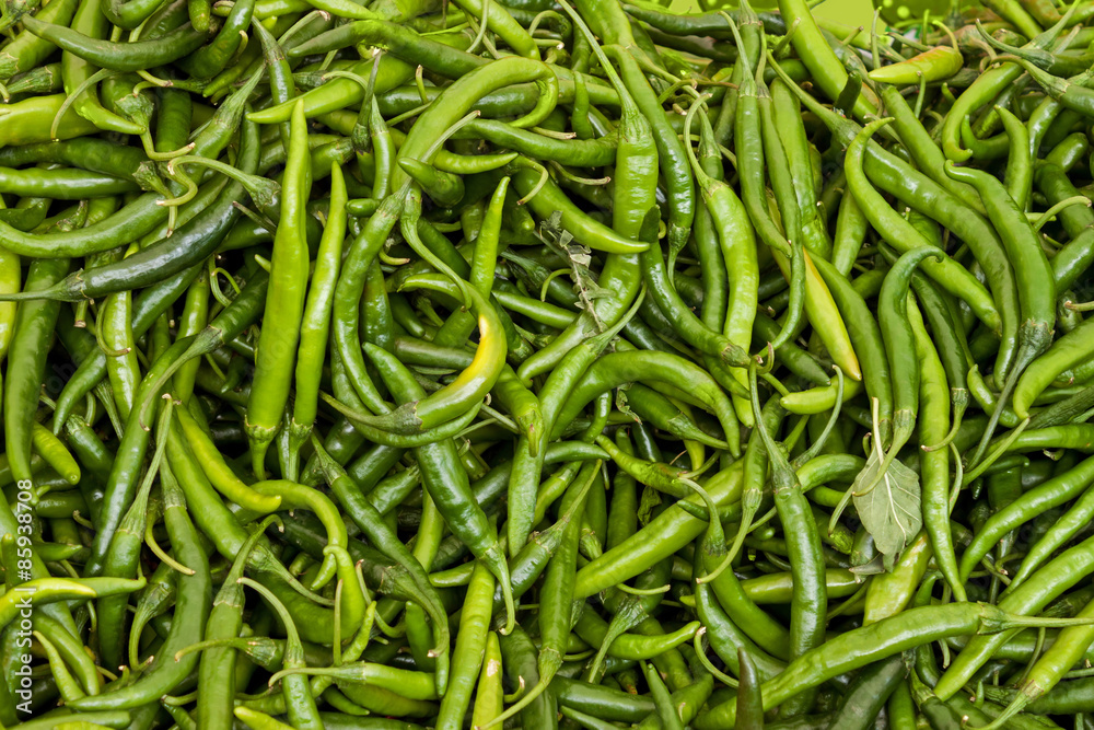 Green peppers Green peppers