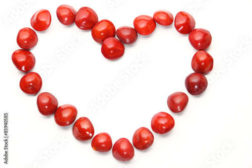 Saga seeds forming a heart