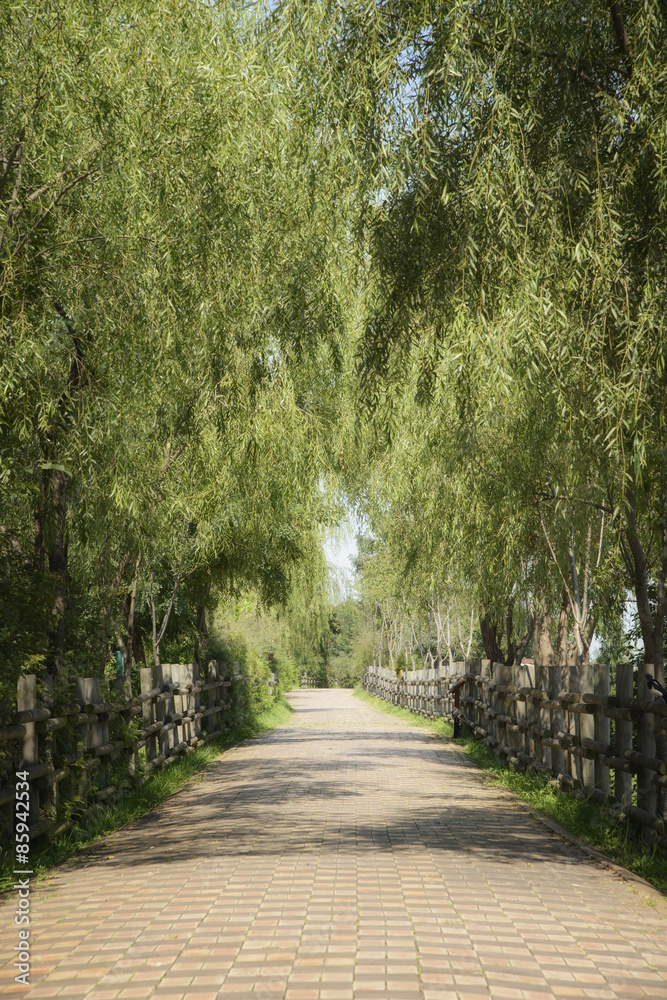 Fototapeta premium pathway with wooden banister