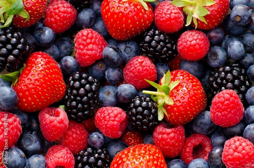 Nahaufnahme unterschiedlicher Beeren: Himbeeren, Blaubeeren, Brombeeren und Erdbeeren