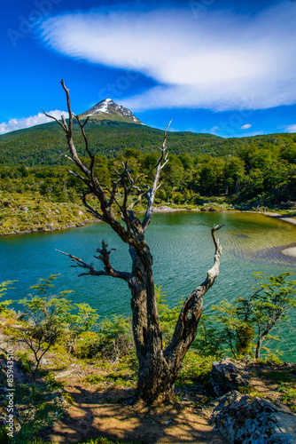 le parc de la fin du monde à Ushuaia