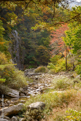 view of mountain stream with autumn colors