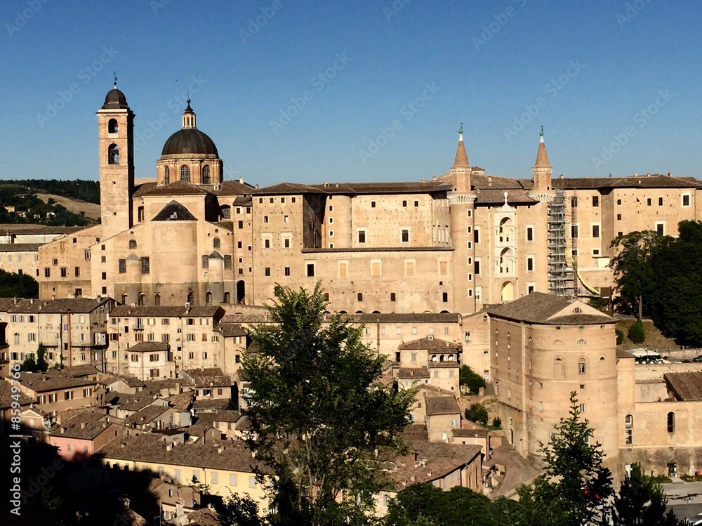 Urbino  -  Marche