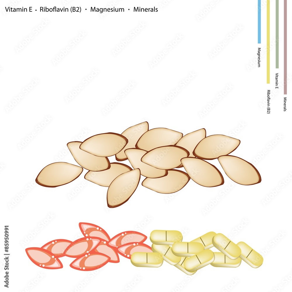 Almonds with Vitamin E, Riboflavin and Minerals Almonds with Vitamin E, Riboflavin and Minerals