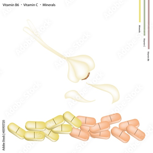 Garlic Bulbs with Vitamin B6, C and Minerals