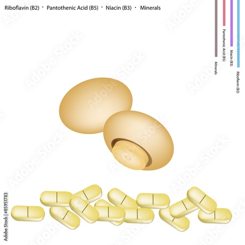 Chestnut Mushrooms with Vitamin B2, B5 and B3