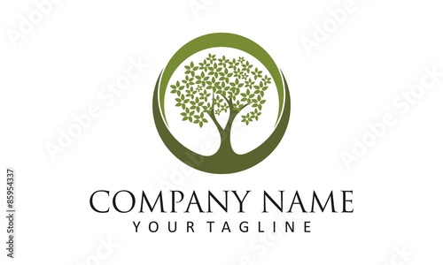 Tree of Life logo design inspiration. Foundations Logo