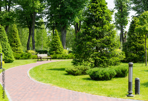 Fototapeta Naklejka Na Ścianę i Meble -  Pavement in the park