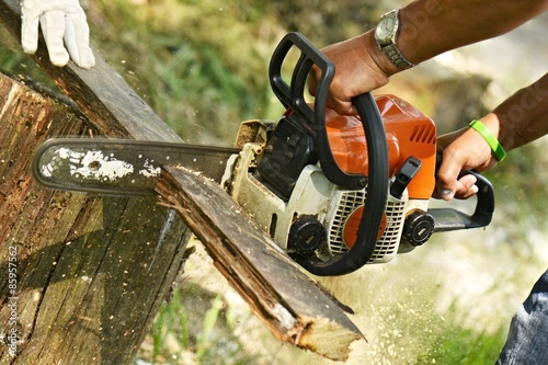 Wallpaper Mural Travaux forestiers professionnels Torontodigital.ca