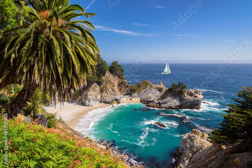 Beautiful beach with palm trees and the white yacht on the horizon.  Julia Pfeiffer beach, Big Sur. California, USA photo