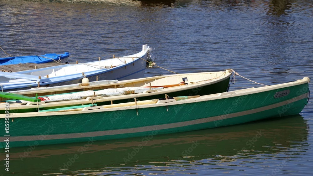 Obraz premium pointes de pinasses bassin d'arcachon Gujan Mestras