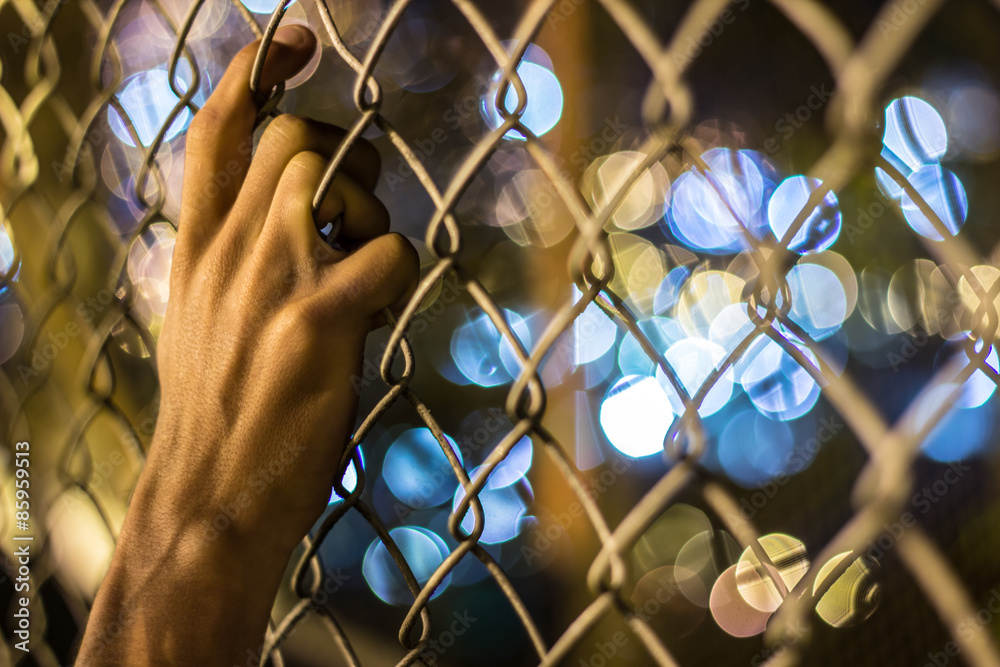 bokeh bokeh