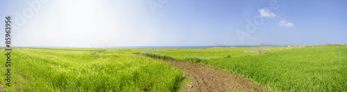 Panorama Landscape of Gapado Island