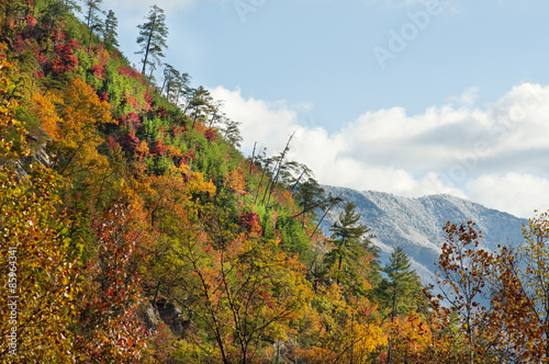 Cliff covered with fall colors beside a snowy mountain.