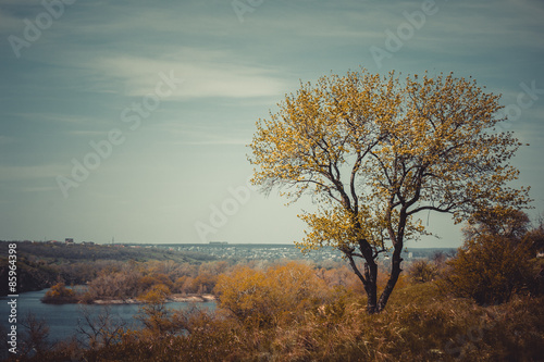 Landscape with tree and river