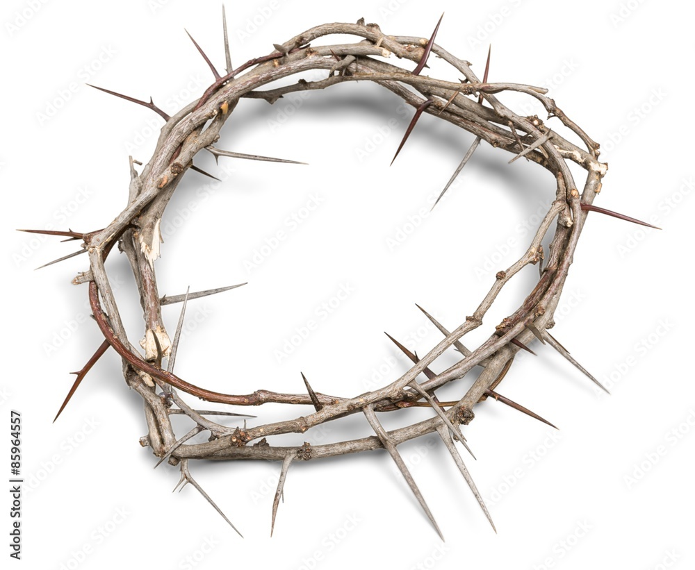 Fototapeta premium Thorn, Crown Of Thorns, Grief.