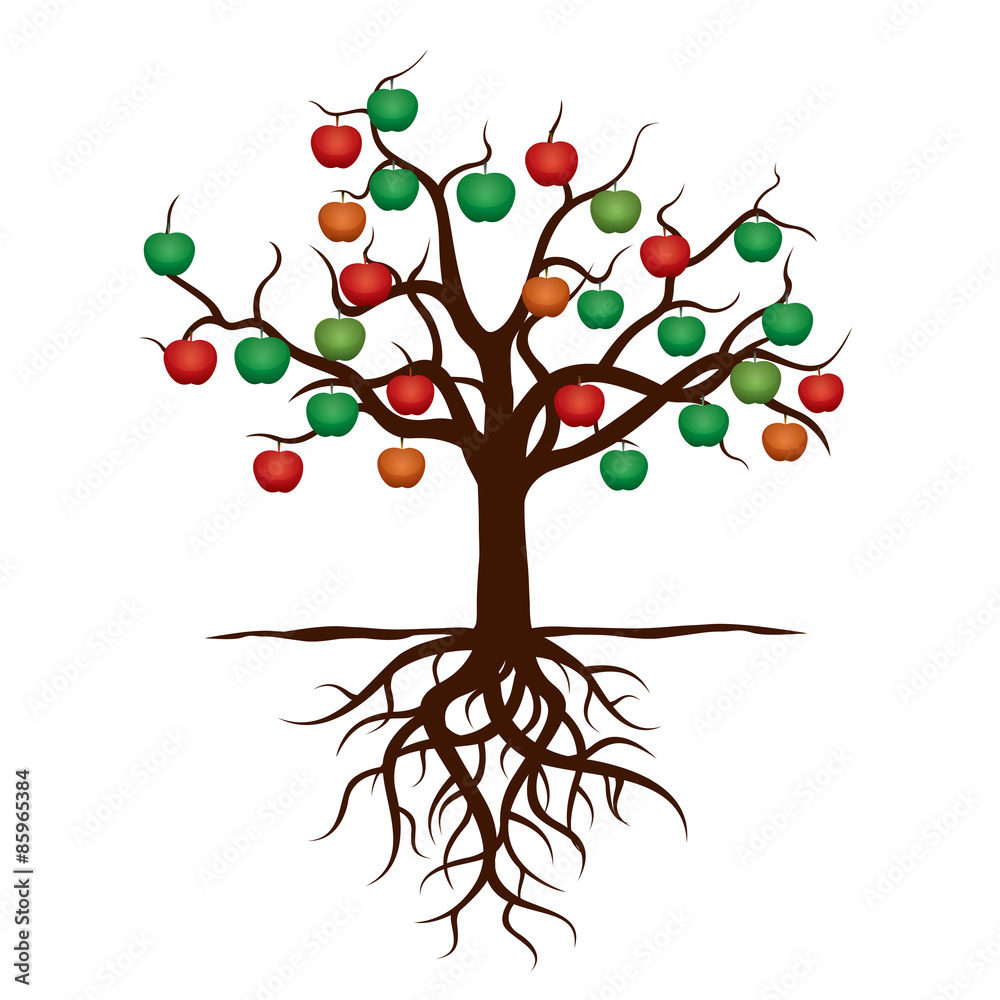 Color Apple Tree and Roots. Vector Illustration.