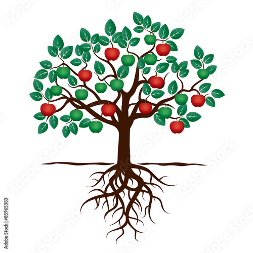 Young Tree with Green Leafs, Roots and Red Apple. Vector Illustration