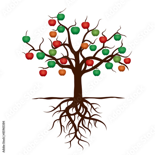 Color Apple Tree and Roots. Vector Illustration.