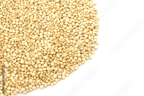 Quinoa Gold on White Background