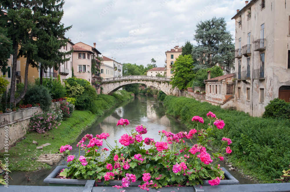 Fototapeta premium Flowered balcony of Saint Paul bridge in Vicenza, Retrone river and Saint Michele bridge in the background