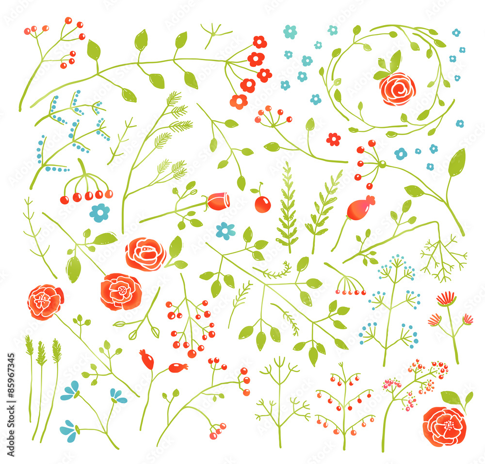 Fototapeta premium Floral Doodle Field Flowers and Plants Decoration Collection