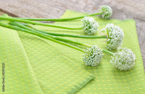 Green background with onions flower.