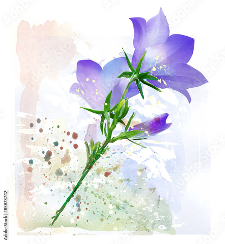 Bluebell. Imitation of watercolor painting.