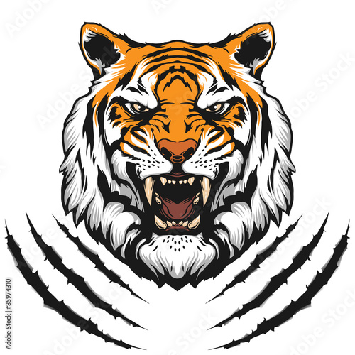 Tiger head