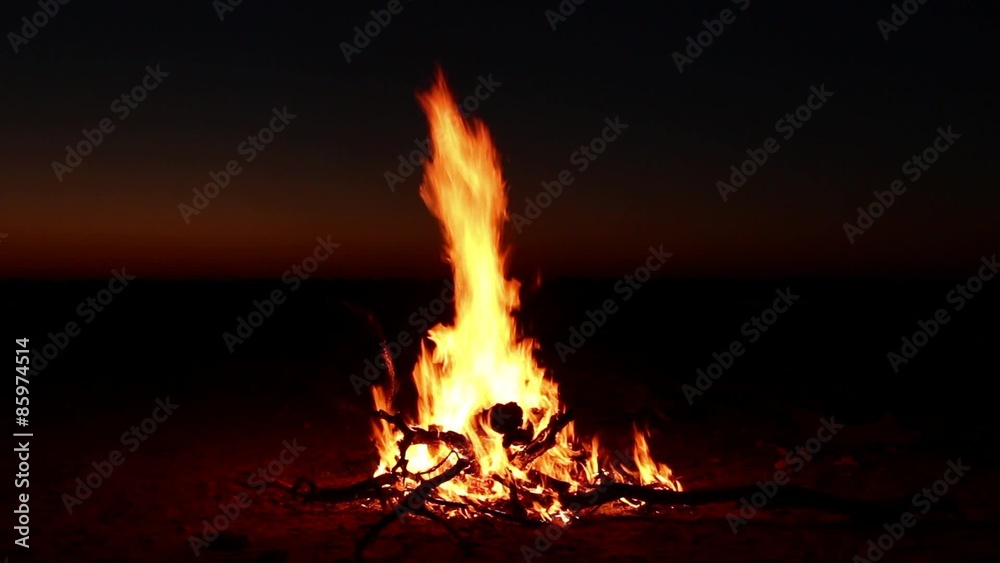 Outdoor wood campfire burning brightly during the darkness of nighttime Outdoor wood campfire burning brightly during the darkness of nighttime