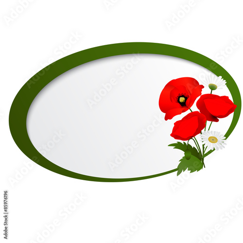 Vector white background with chamomile and poppies