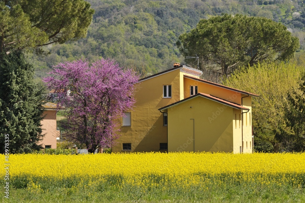 Casa gialla nella pace della natura colorata. Casa gialla nella pace della natura colorata.
