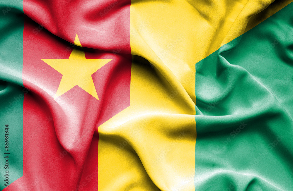 Waving flag of Guinea and Cameroon Waving flag of Guinea and Cameroon