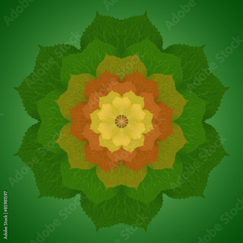 Flower Mandala with green background. Ornamental round floral Pattern.