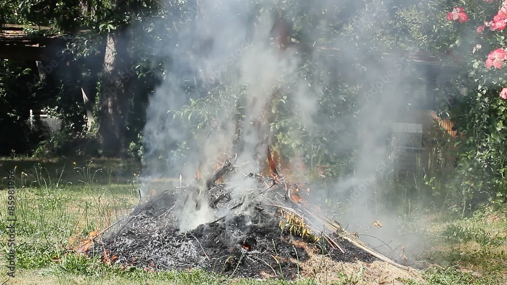 Feu , Fumée , jardinage