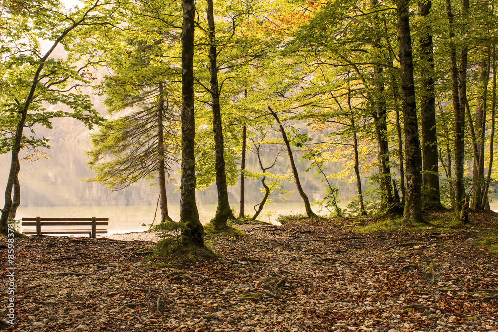 Bohinj lake, Slovenia