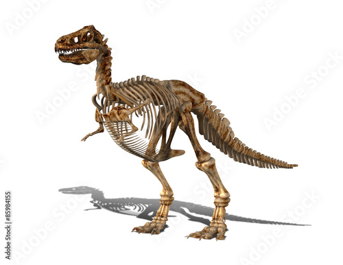 T Rex Skeleton © ratpack223