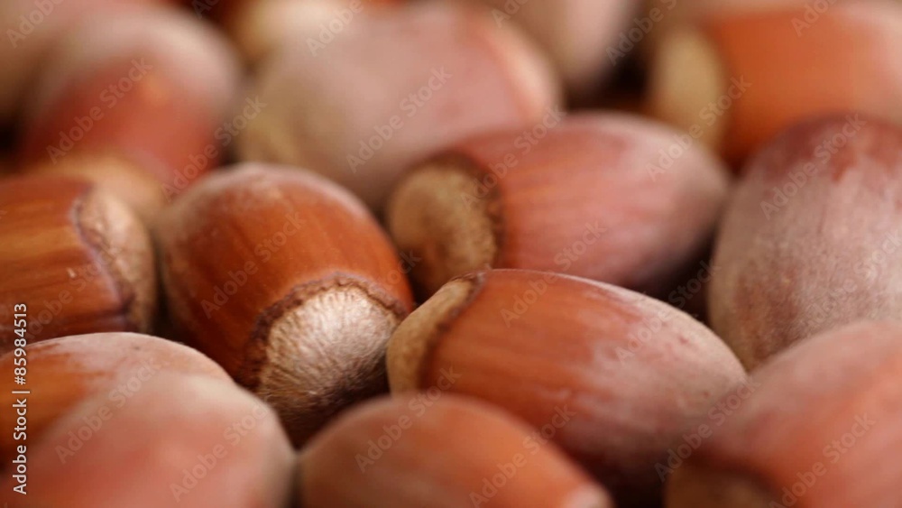HD 1080 closeup: hazelnut fruits at rotating stand HD 1080 closeup: hazelnut fruits at rotating stand