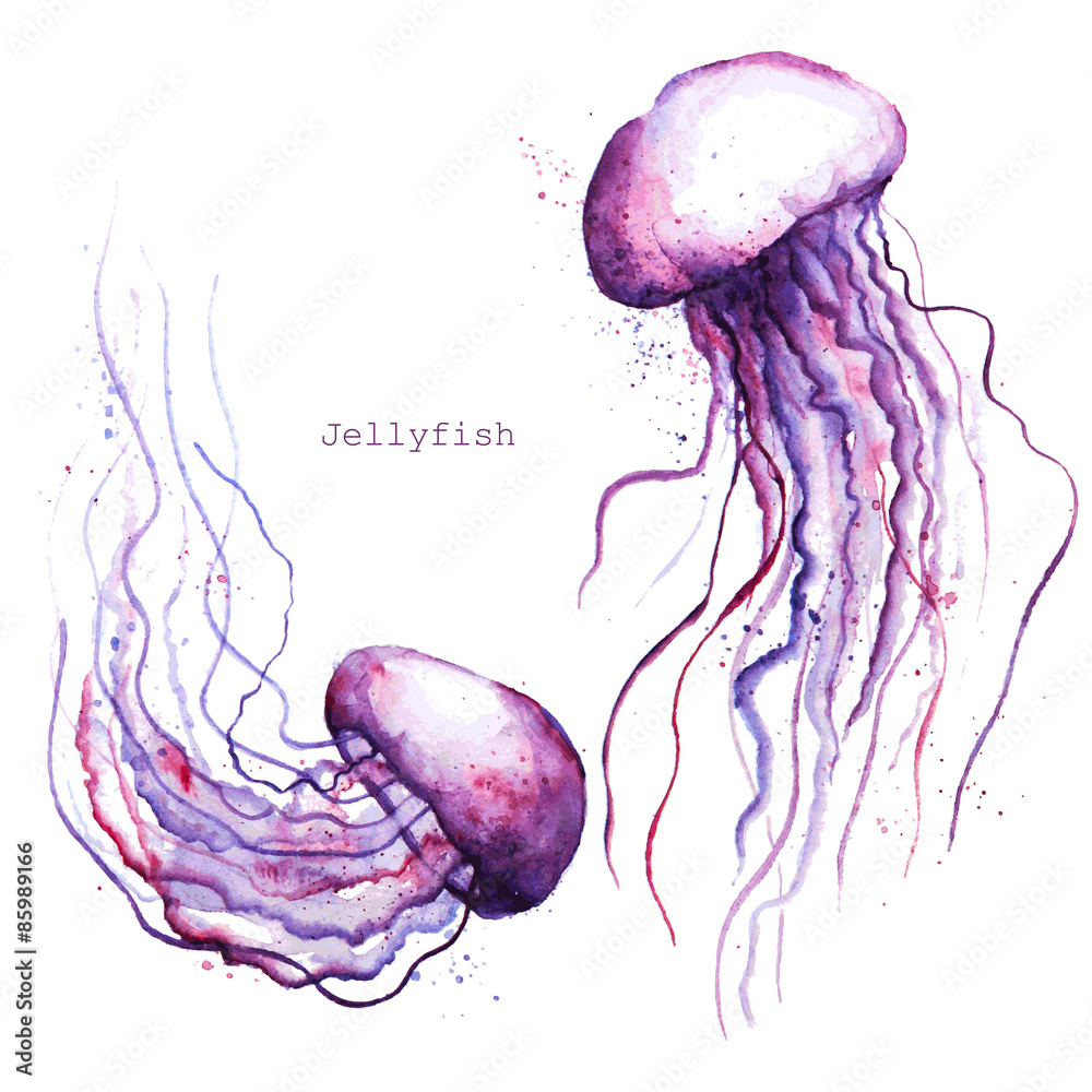 Fototapeta premium Vector watercolor jellyfish