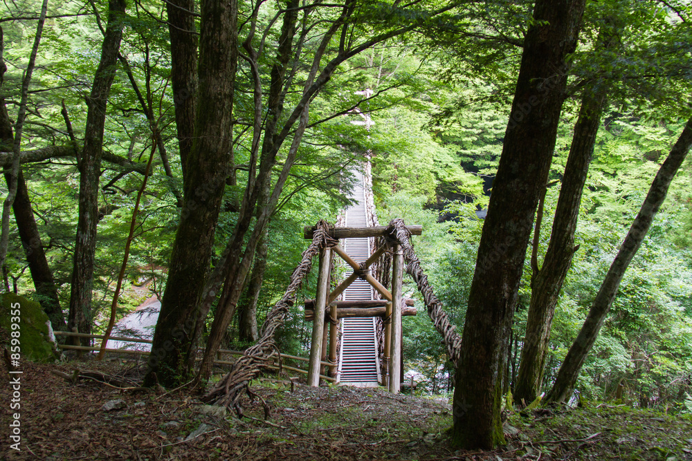 Fototapeta premium 徳島県 奥祖谷二重かずら橋 男橋