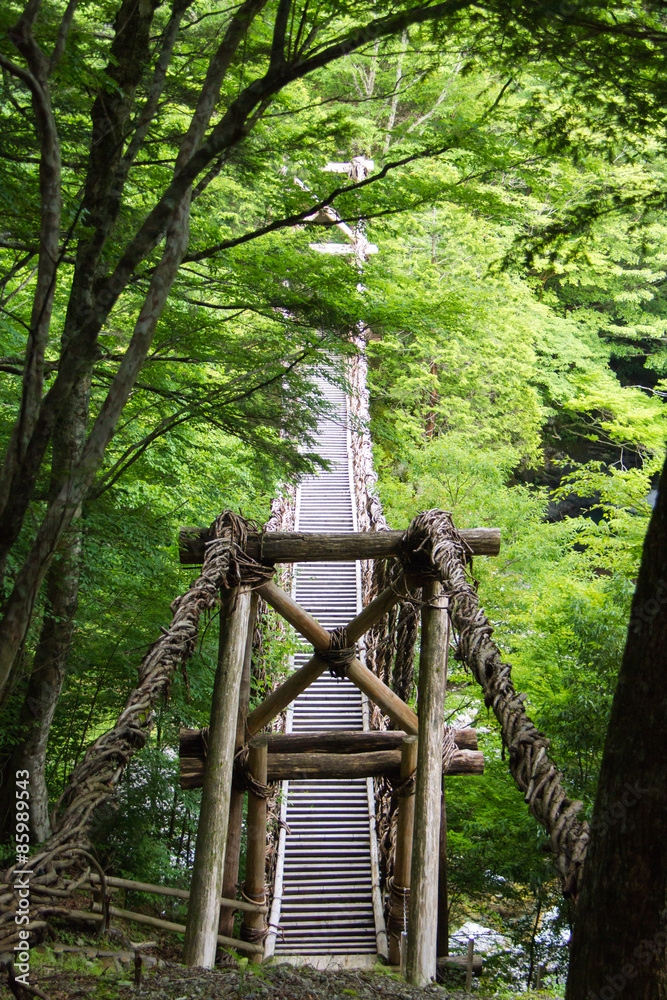 Fototapeta premium 徳島県 奥祖谷二重かずら橋 男橋