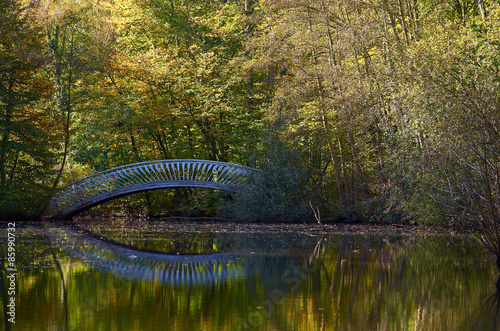 Autumn bridge over a river
