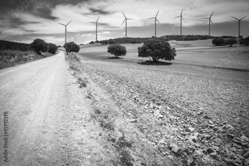 a country road and wind generators farm on a summer day photo