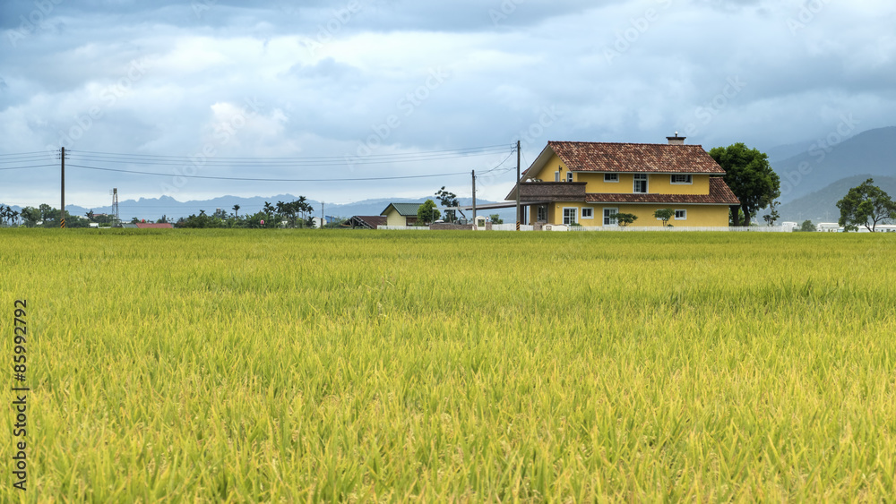 The beauty of the farmland in Taitung Taiwan The beauty of the farmland in Taitung Taiwan