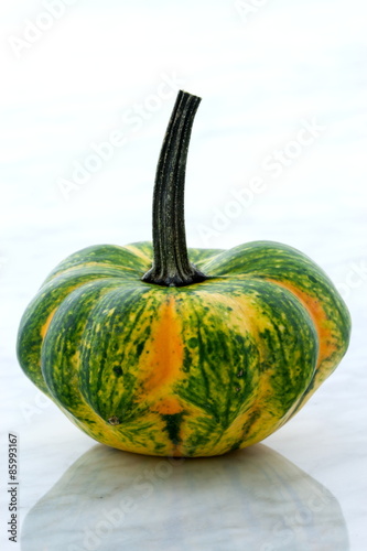 organic summer squash photo