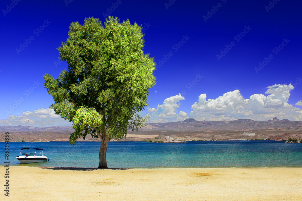 Lake Mohave Beach Nevada