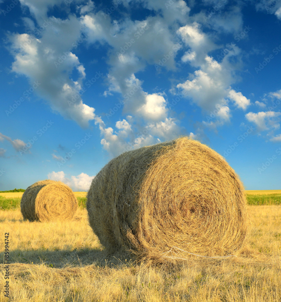 Hay bale in the countryside